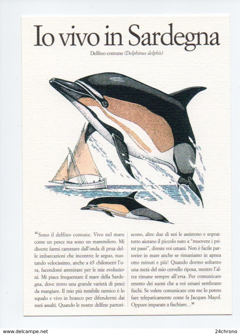 Illustration: Franco Testa: Delphinus Delphis, Dauphin Commun (18-3121) - Dauphins