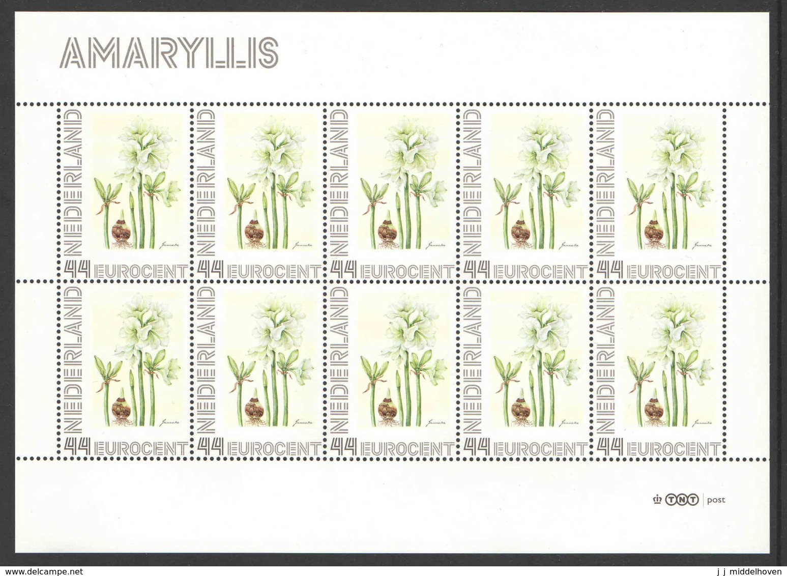 Nederland Postfris/MNH, Janneke Brinkman: Bloemen, Flowers, Fleurs. Amaryllis - Persoonlijke Postzegels