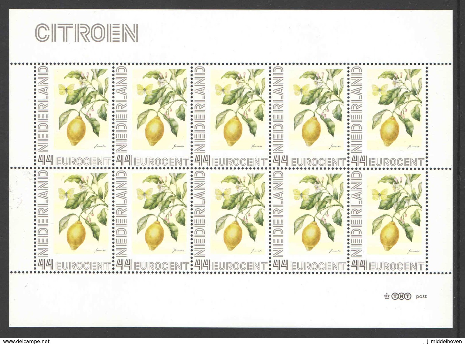 Nederland Postfris/MNH, Janneke Brinkman: Bloemen, Flowers, Fleures. Citroen - Persoonlijke Postzegels