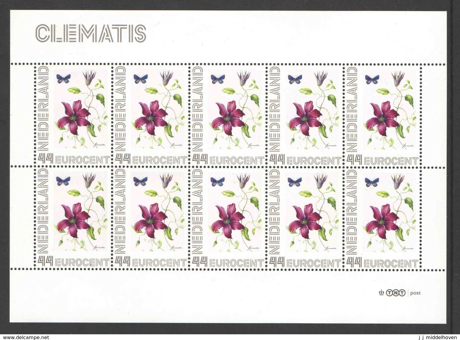 Nederland Postfris/MNH, Janneke Brinkman: Bloemen, Flowers, Fleurs. Clematis - Persoonlijke Postzegels