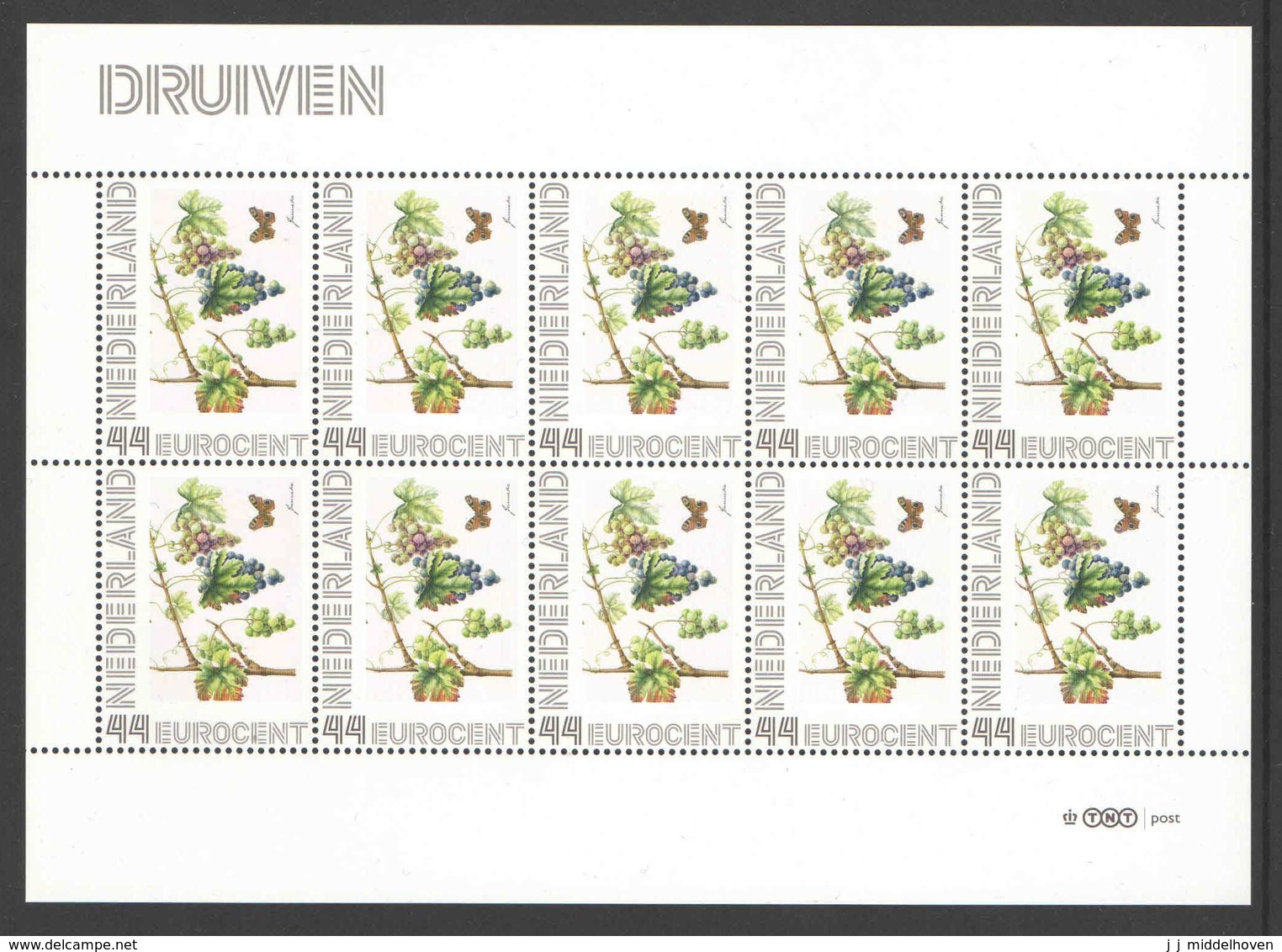 Nederland Postfris/MNH, Janneke Brinkman: Bloemen, Flowers, Fleurs. Druiven - Persoonlijke Postzegels