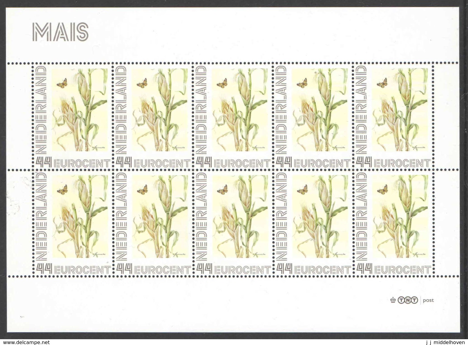 Nederland Postfris/MNH, Janneke Brinkman: Bloemen, Flowers, Fleurs. Mais - Persoonlijke Postzegels