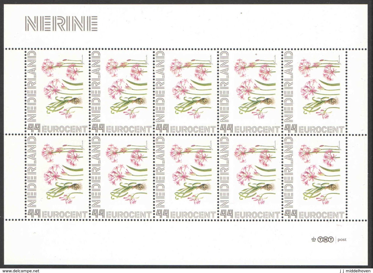 Nederland Postfris/MNH, Janneke Brinkman: Bloemen, Flowers, Fleurs. Nerine - Persoonlijke Postzegels
