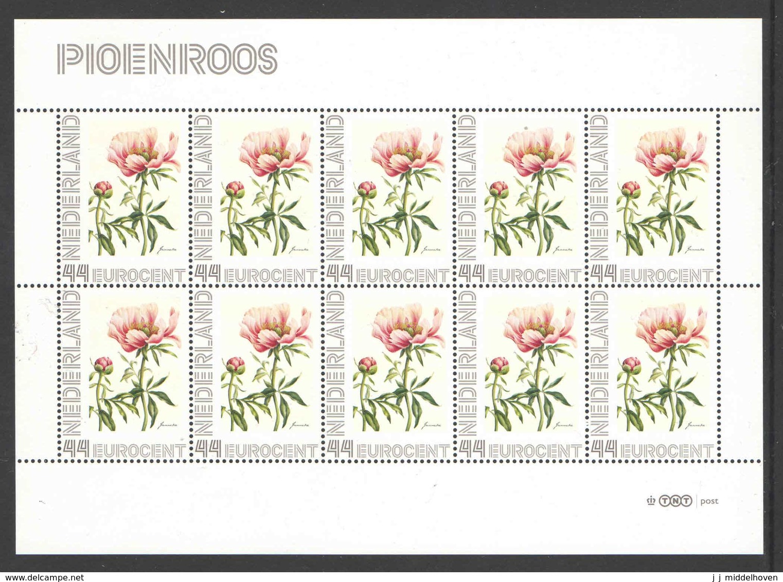 Nederland Postfris/MNH, Janneke Brinkman: Bloemen, Flowers, Fleurs. Pioenroos - Persoonlijke Postzegels