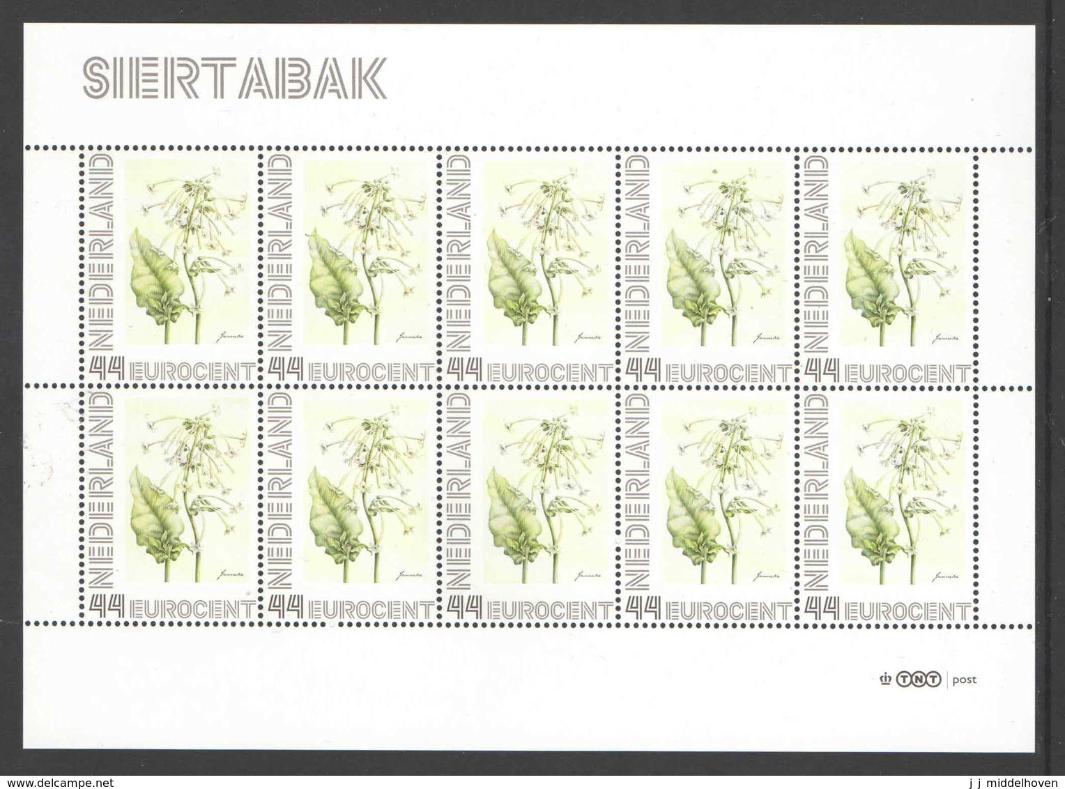 Nederland Postfris/MNH, Janneke Brinkman: Bloemen, Flowers, Fleurs. Siertabak - Persoonlijke Postzegels