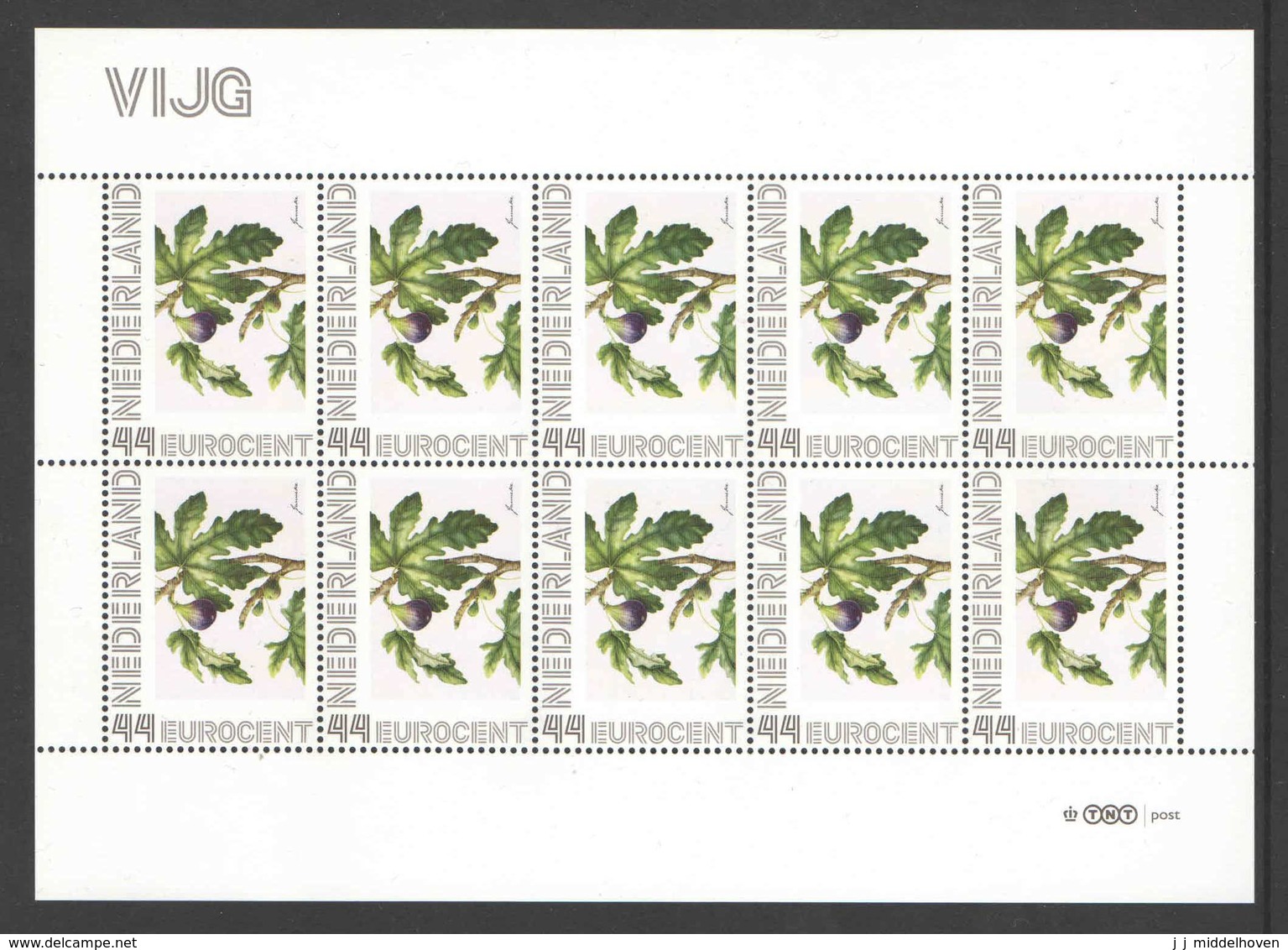 Nederland Postfris/MNH, Janneke Brinkman: Bloemen, Flowers, Fleurs. Vijg - Persoonlijke Postzegels