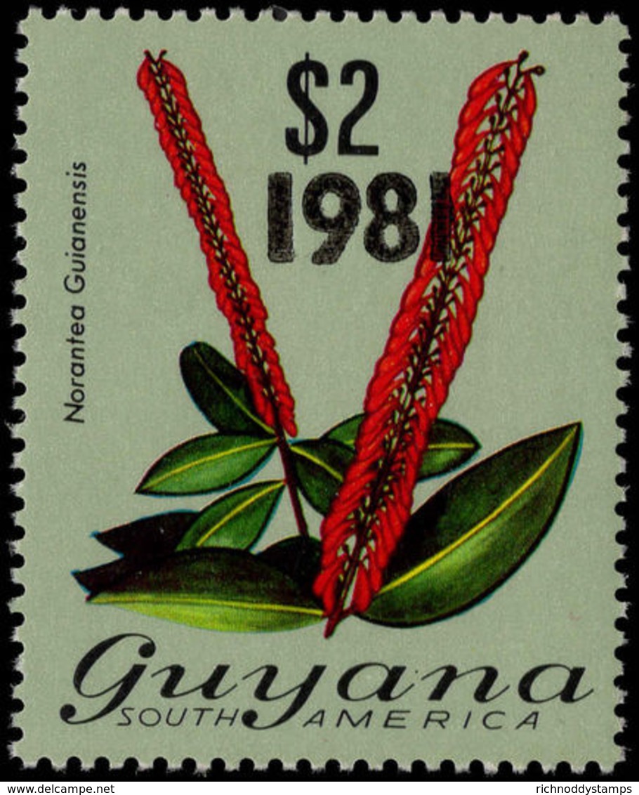 Guyana 1981 (8 Jun) &#36;2 Norantea Guianansis Unmounted Mint. - Guyana (1966-...)