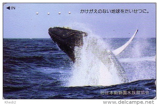 Télécarte Japon / 110-011 - ANIMAL - BALEINE - WHALE Japan Phonecard - WAL TK - BALLENA - 294 - Dolphins
