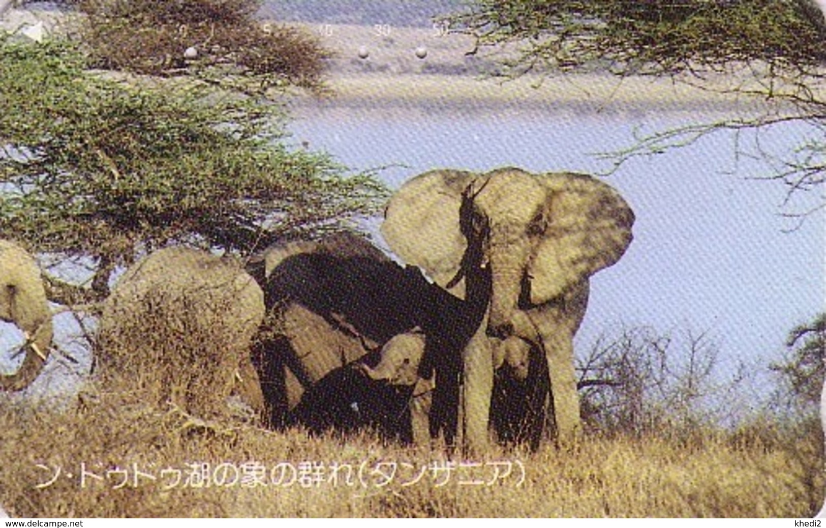 Télécarte Japon / 110-011 - ANIMAL - ELEPHANT Japan Phonecard - OLIFANT - ELEFANTE - BE 524 - Autres & Non Classés