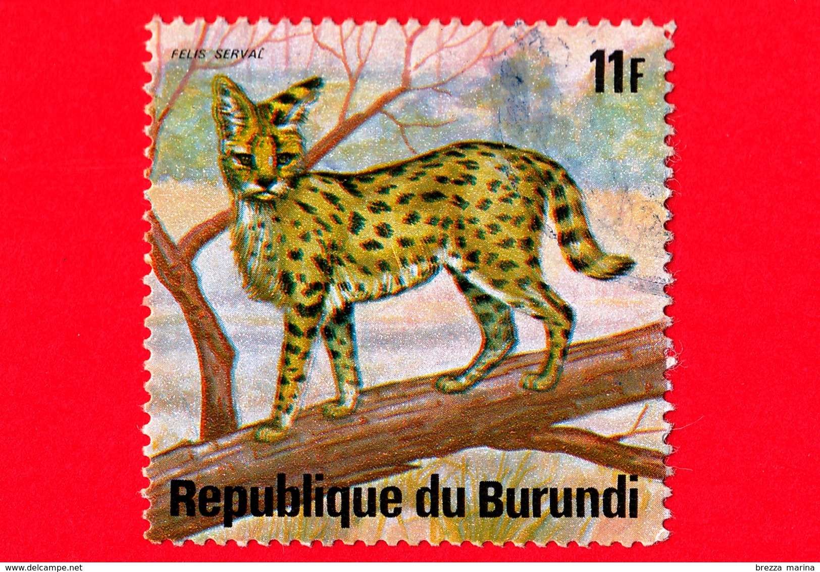 BURUNDI - Usato - 1975 - Animali Africani - Felini Predatori - Serval (Leptailurus Serval) - 11 - Usati