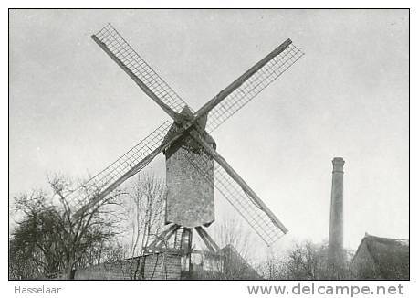 Kruibeke - Molen Van Hul - Kruibeke