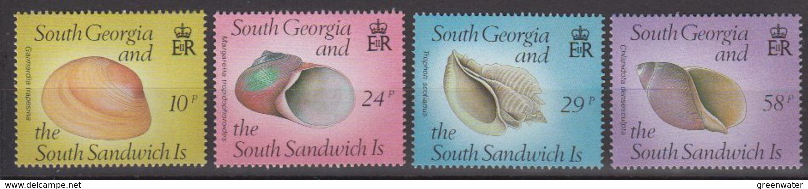 South Georgia 1988 Shells 4v ** Mnh (40951A) - South Georgia