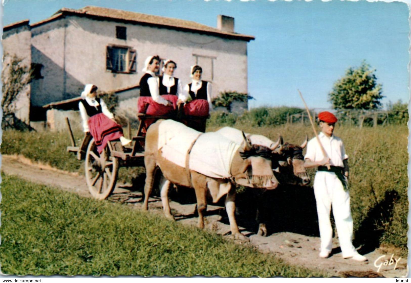 Attelage - Pays Basque - Biarritz - Départ Pour La Fête - Teams