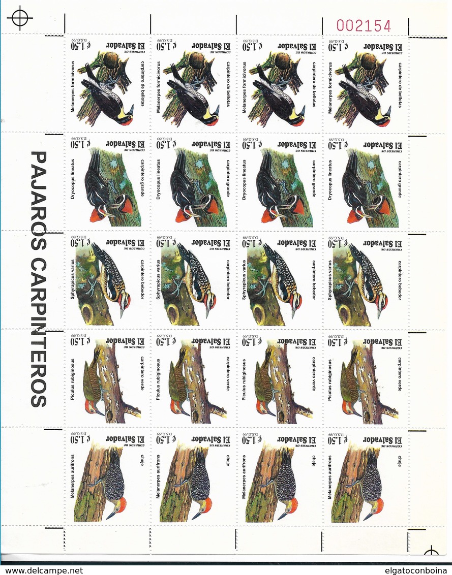 EL SALVADOR 1999 BIRDS, WOODPECKER, STRIP OF 5 VALUES, SCOTT 1530 MINT NEVER HINGED - El Salvador