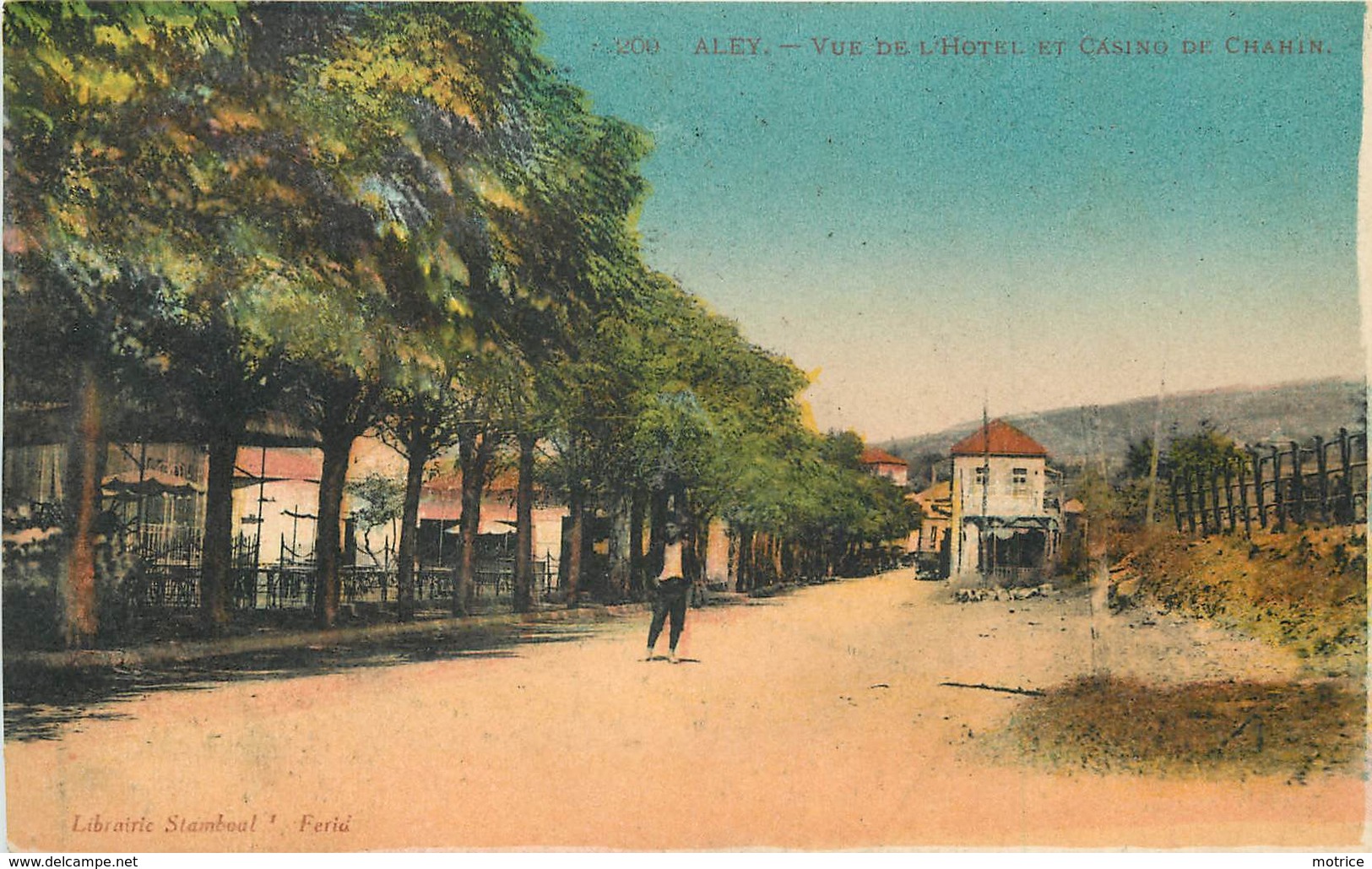 ALEY - Vu De L'hôtel Et Casino Chahin. - Liban