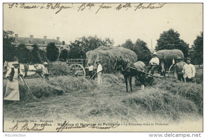 33 BORDEAUX /  Hôpitaux Et Hospice De Pellegrin - La Fenaison Dans Le Domaine / - Bordeaux