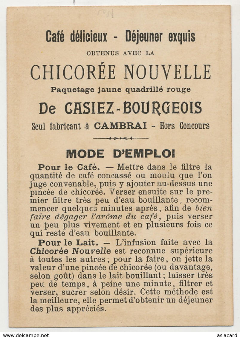 Chromo Chile Propaganda Chicorée Casiez Bourgeois Cambrai Tamano 7 Por 10 Cms - Cile