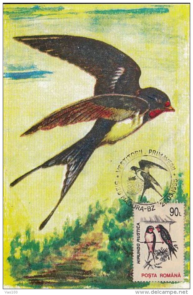 BIRDS, SWALLOWS, CM, MAXICARD, CARTES MAXIMUM, 1995, ROMANIA - Schwalben