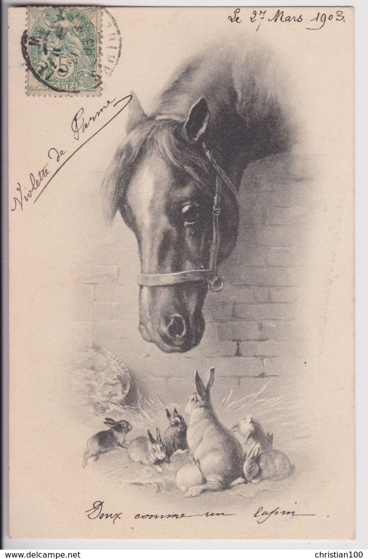 ILLUSTRATEUR : LA TENDRESSE ENTRE UN CHEVAL ET DES LAPINS - DOUX COMME UN LAPIN - ECRITE EN 1903 - 2 SCANS - - 1900-1949