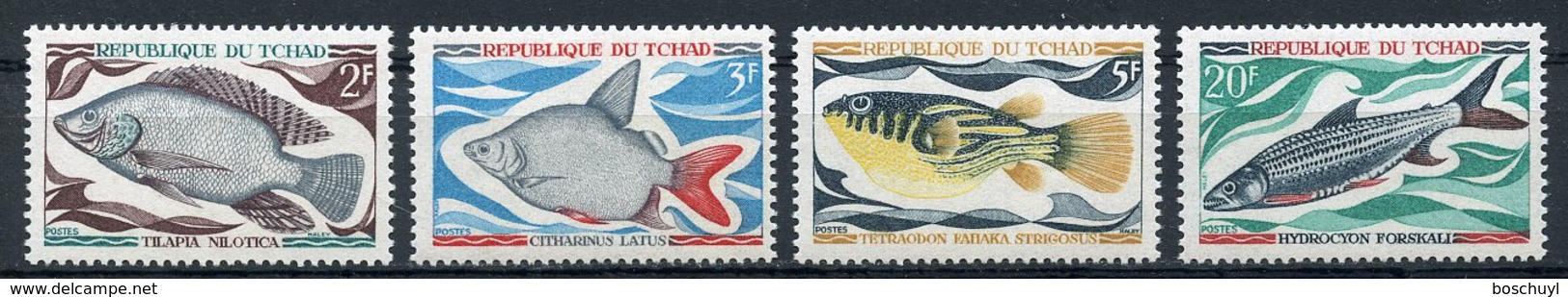 Chad, 1969, Fish, Animals, MNH, Michel 282-285 - Chad (1960-...)