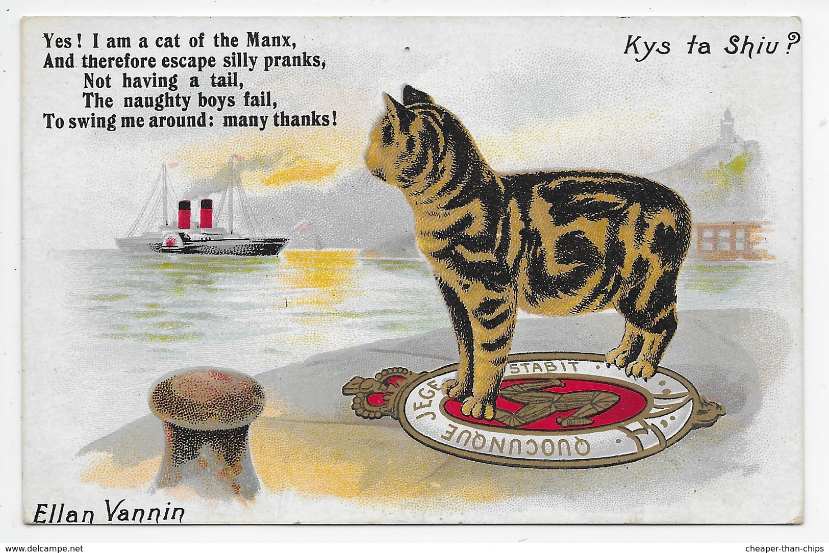 Kys Ta Shiu? - Cat + Verse - Manx Camera Series - Isle Of Man
