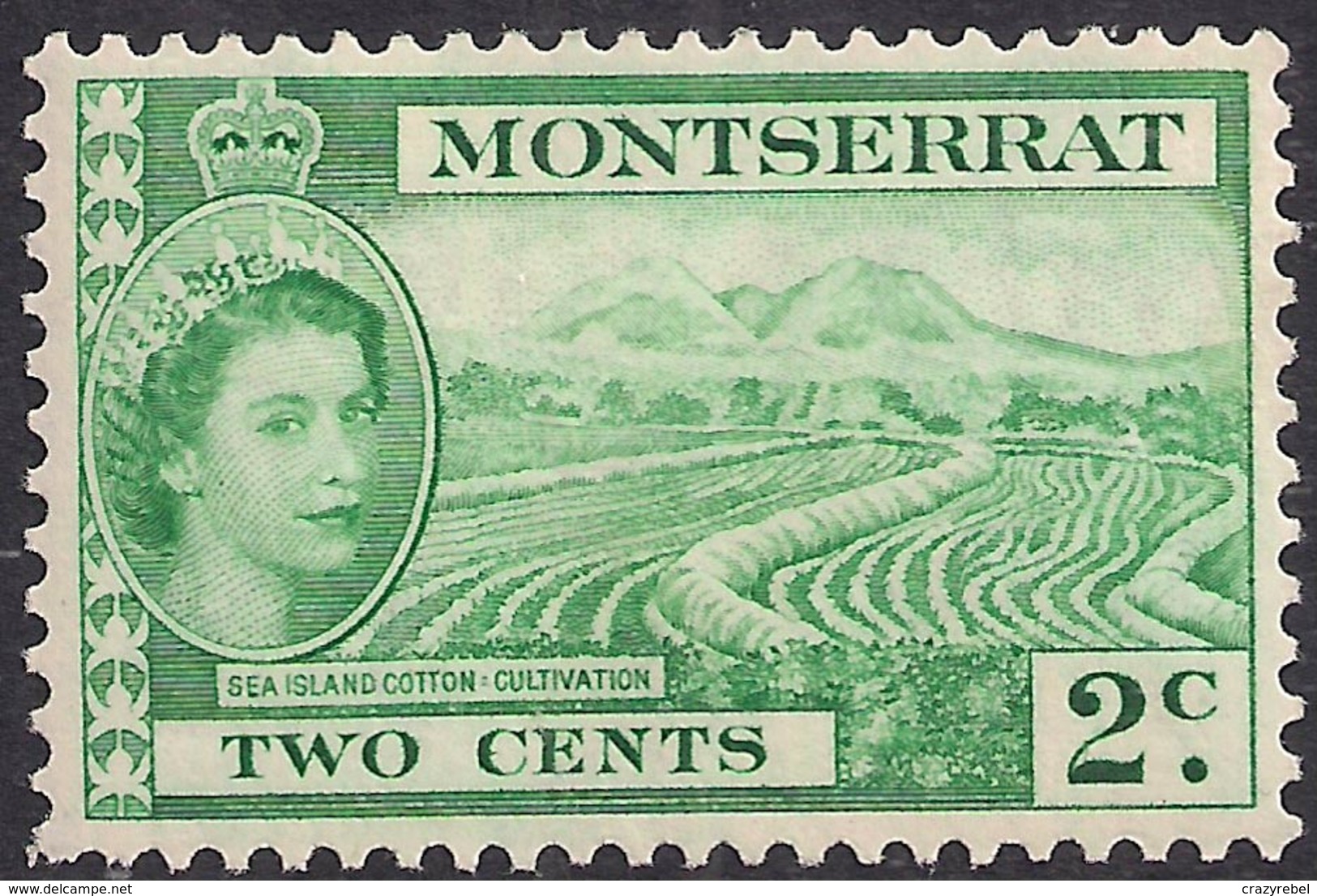 Montserrat 1953 QE2 2ct Green Sea Island Cotton MM SG 138 (H1415) - Montserrat