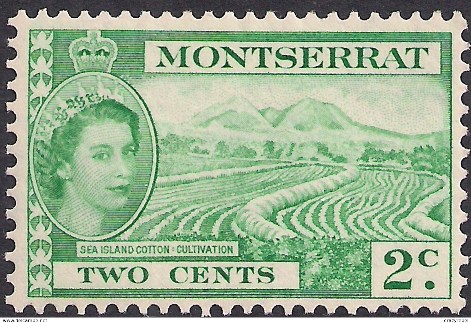 Montserrat 1953 QE2 2ct Green Sea Island Cotton MM SG 138 (H1416) - Montserrat