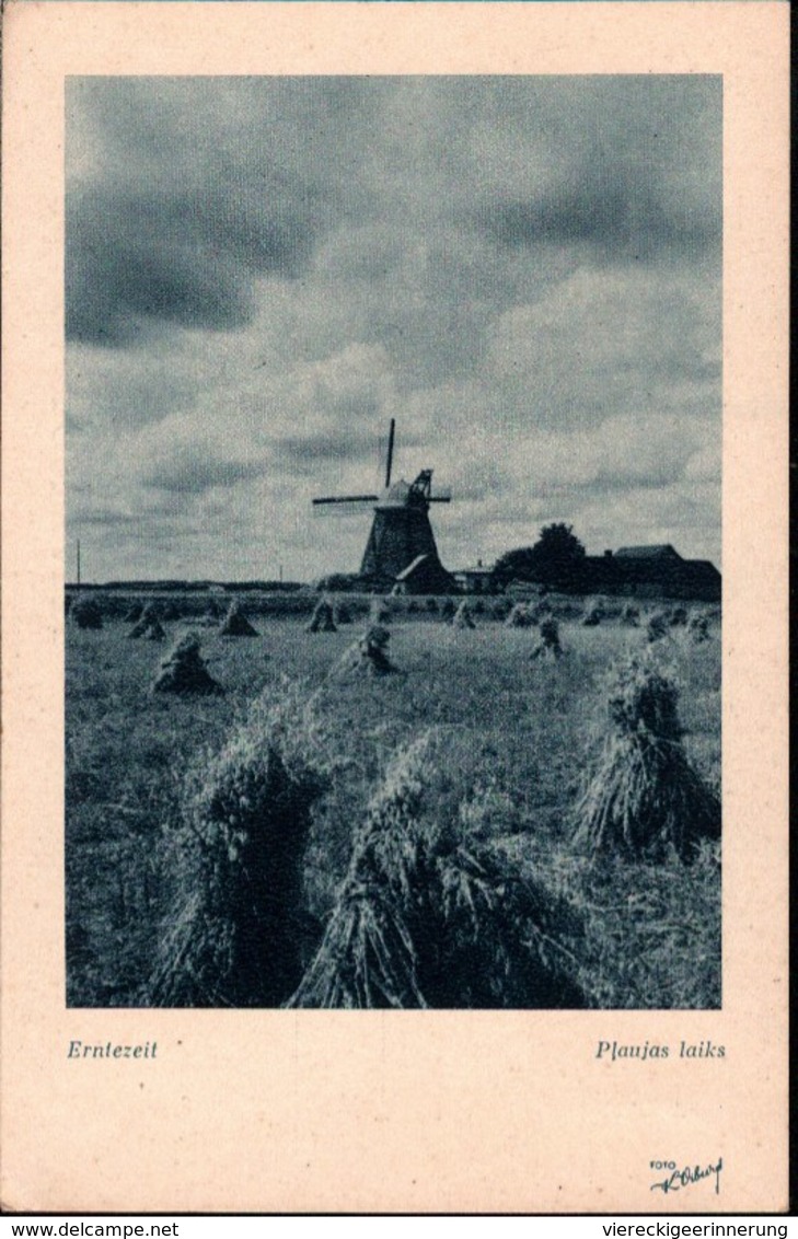 !  Ansichtskarte Windmühle, Windmill, Moulin A Vent, Erntezeit, Heuschober, Lettland, Latvia - Lettonia