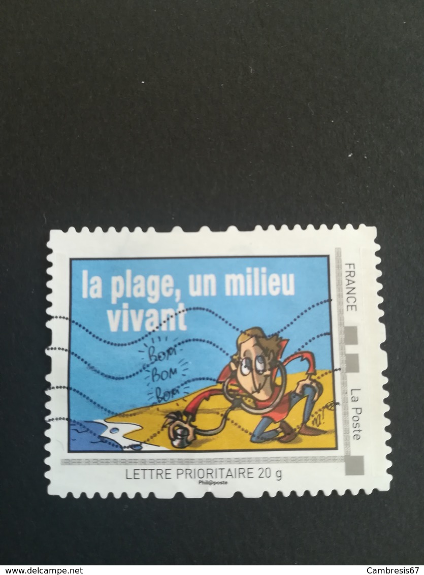 La Plage Un Milieu Vivant - Collectors