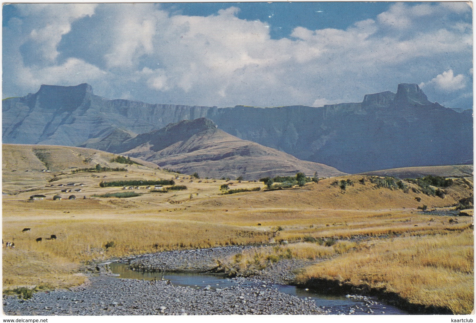 Drakensberg Mountains With The Sentinel On The Right, Natal  - (South Africa - Suid-Afrika) - Zuid-Afrika