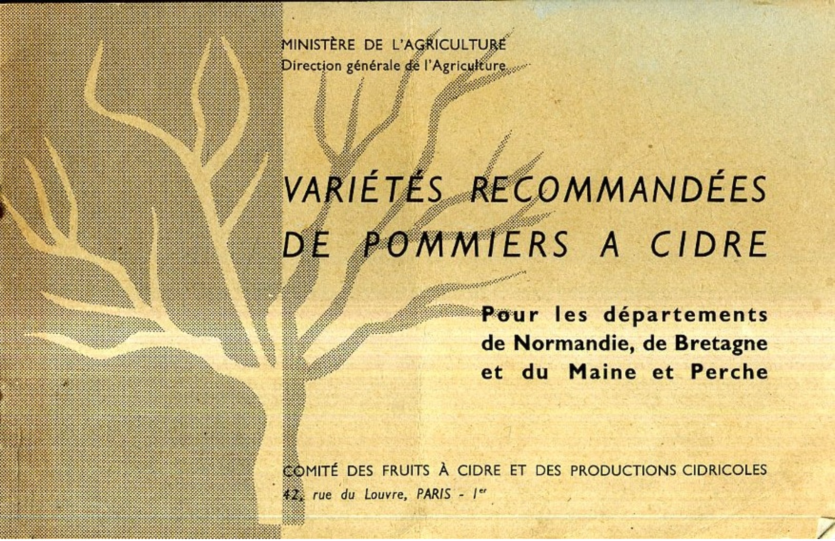 Varietes Recommandees De Pommiers A Cidre - Bretagne