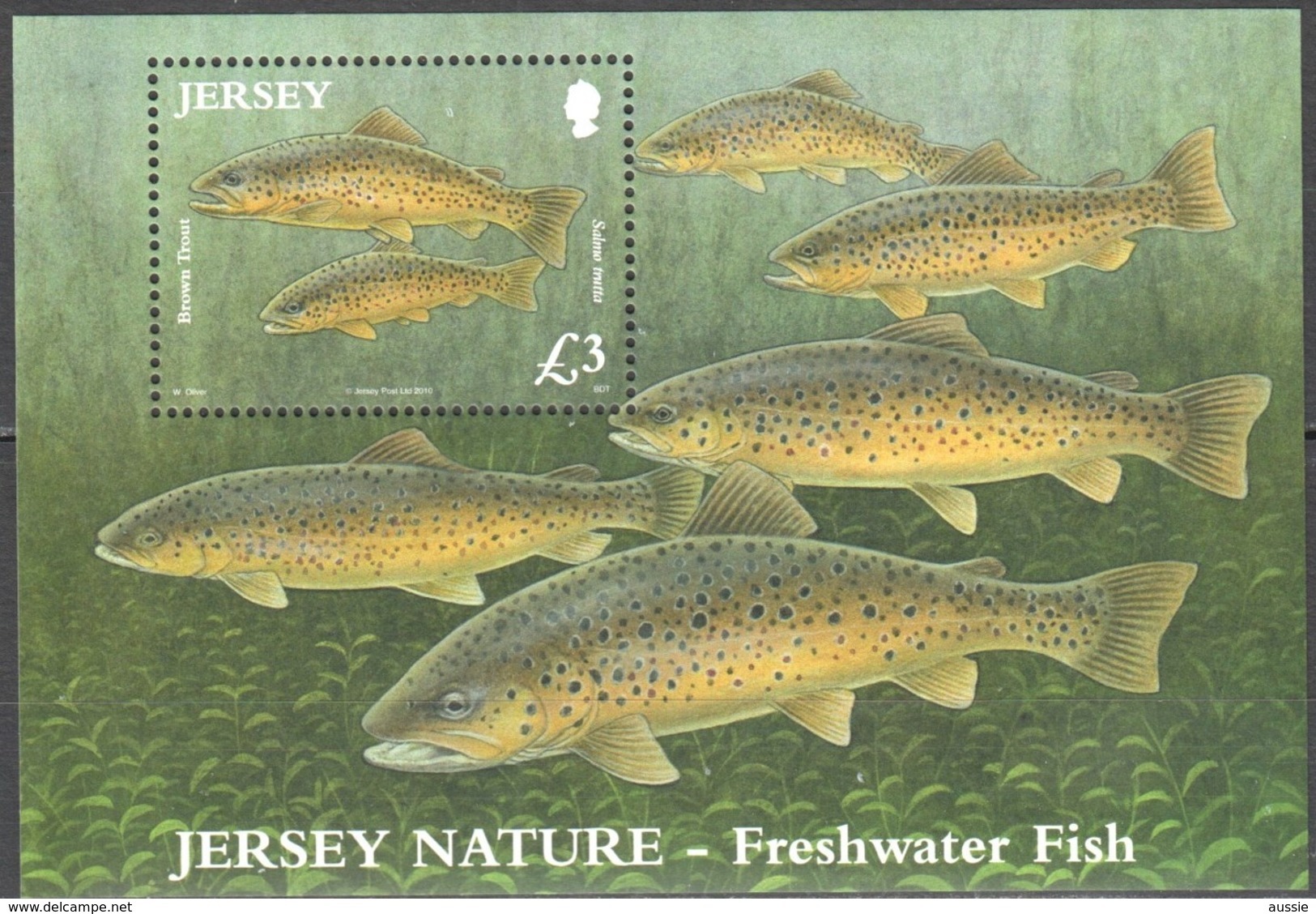 Jersey  2010 Yvertn° 108 Micheln° Bloc 89  *** MNH Cote 13 Euro Faune Poissons Vissen Fish - Jersey