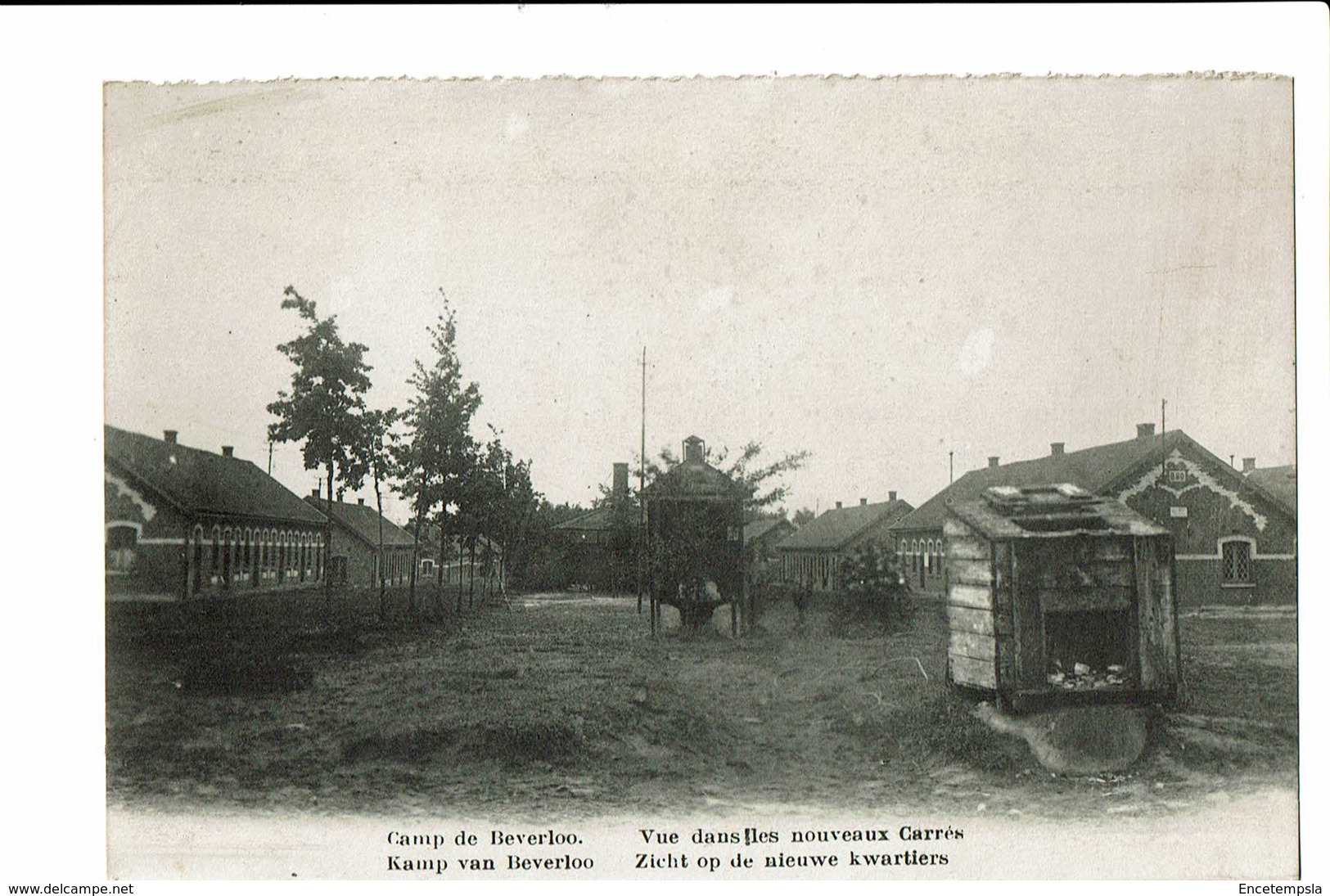 CPA - Carte Postale -BELGIQUE -Camp De Beverloo - Nouveaux Carrés  - S2803 - Beringen