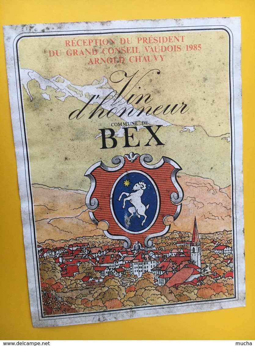 8924 - Suisse Réception Du Président Du Gran Conseil Vaudois 1985 Arnold Chauvy Vin D'honneur Bex - Politik (alte Und Neue)