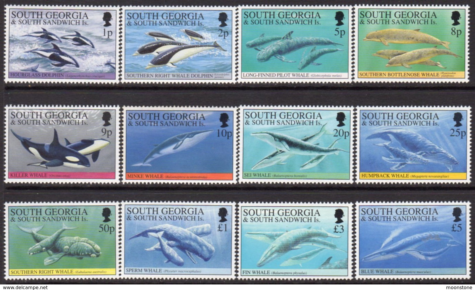 South Georgia 1994 Whales & Dolphins Definitives Set Of 12, MNH, SG 231/42 - Falkland Islands