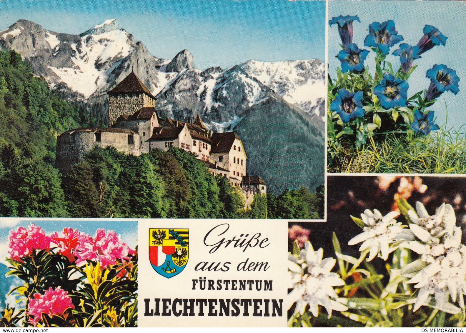 Liechtenstein - Vaduz ,Enzian - Liechtenstein