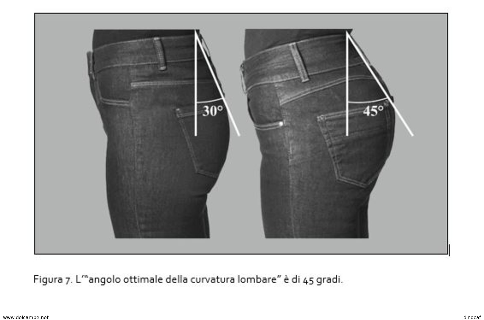 MA PERCHÉ GLI UOMINI CORRONO SEMPRE DIETRO ALLE DONNE? nuovissimo, ev. ritiro in zona TRIESTE