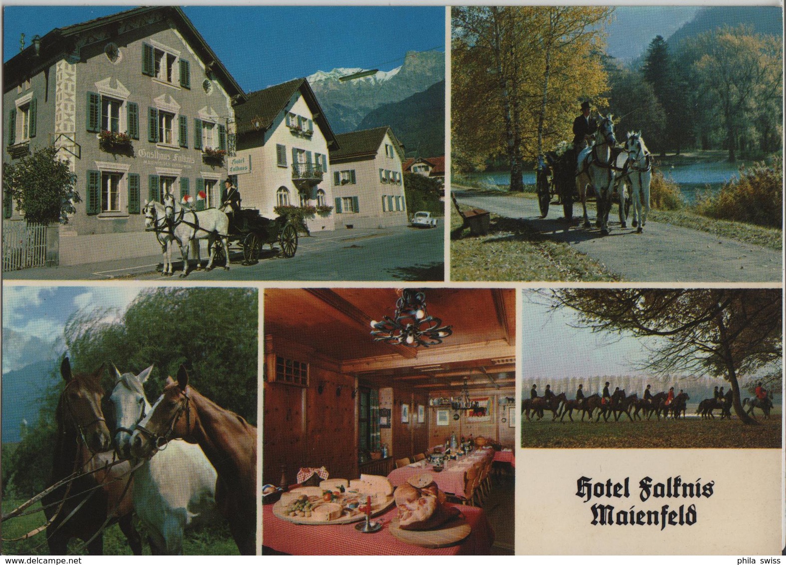 Hotel Falknis - Maienfeld - Photo: Fetzer - Maienfeld