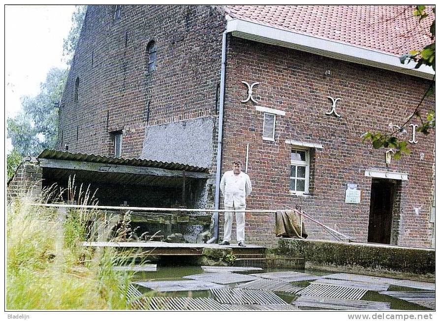 BRUSSEGEM Bij Merchtem (Vlaams-Brabant) - Molen/moulin - Molen Van Neerkam Met De Laatste Molenaar Emilie Berben (1977) - Merchtem