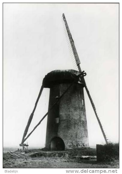 BALEN (Antw.) - Molen/moulin - Historische Opname Van De Steegmolen Met Twee Wieken (ca. 1935) - Afgebroken In 1950. - Balen
