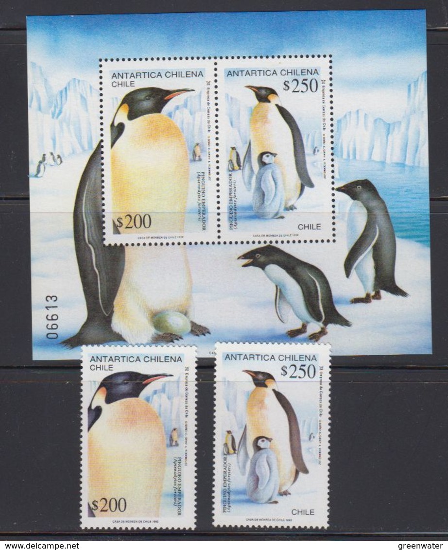 Chile 1992 Antarctica / Emperor Penguins 2v + M/s  ** Mnh (40974) - Chili