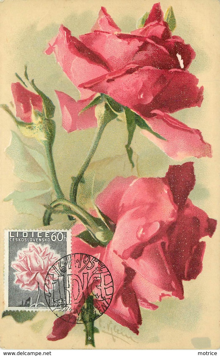 KLEIN CATHARINA (illustrateur) -  Fleurs Rose Rouges, Carte Maximum. - Klein, Catharina