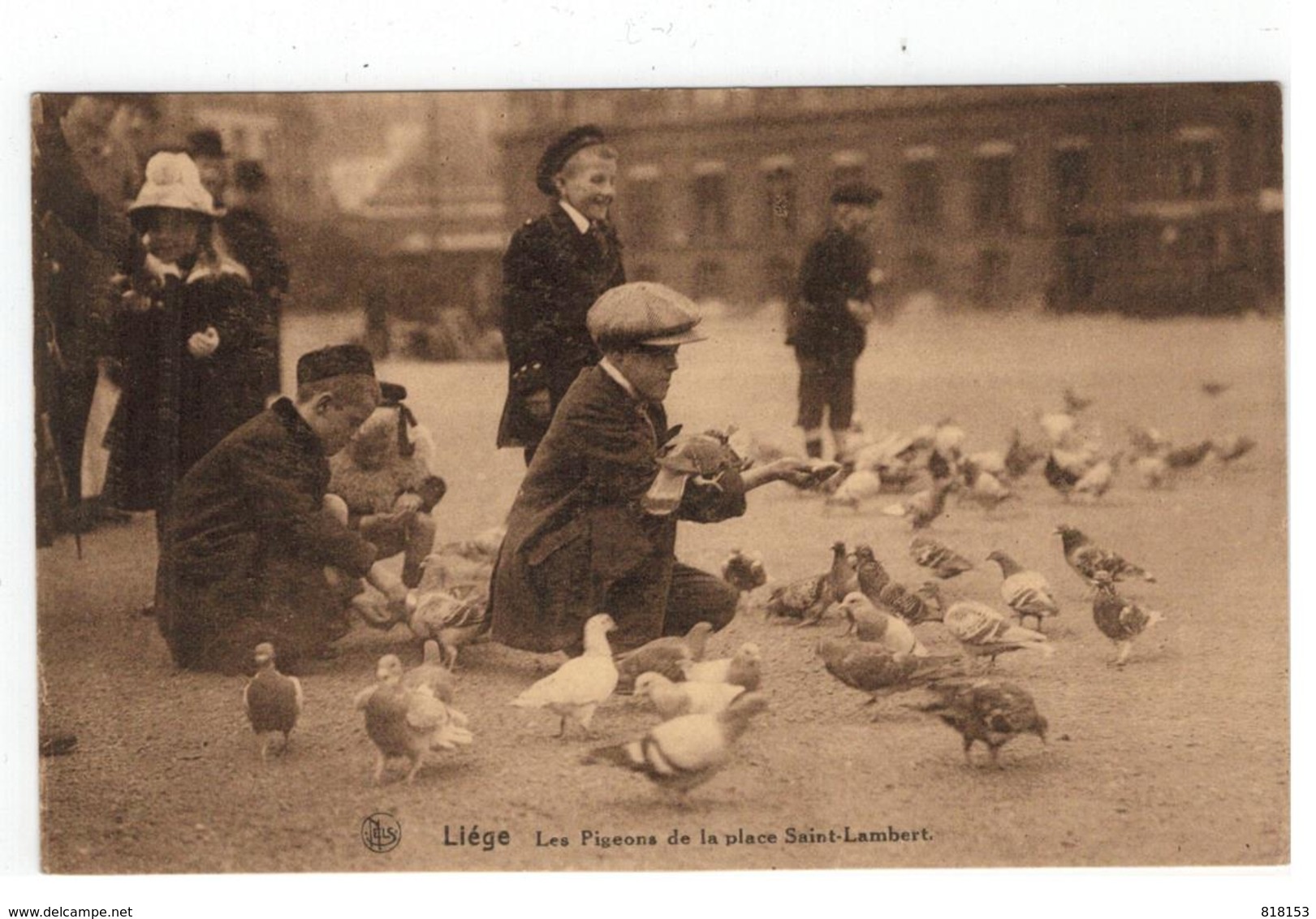 Liége. Les Pigeons De La Place Saint-Lambert - Luik