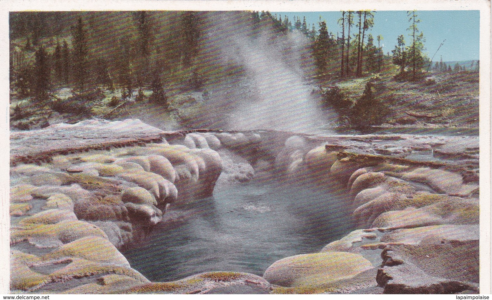 Etats-Unis > WY - Wyoming > Crater Oblong Geyser - Yellowstone