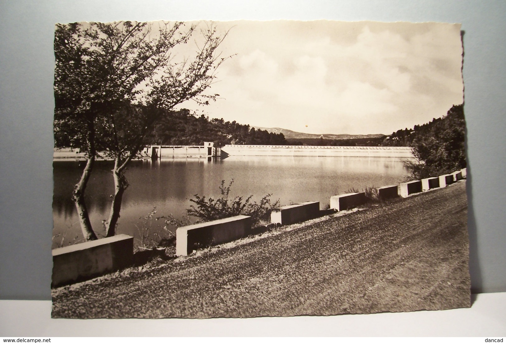 CARCES   - Un Coin Du  Barrage - Au Fond , La Digue- ( Pas De Reflet Sur L'original ) - Carces