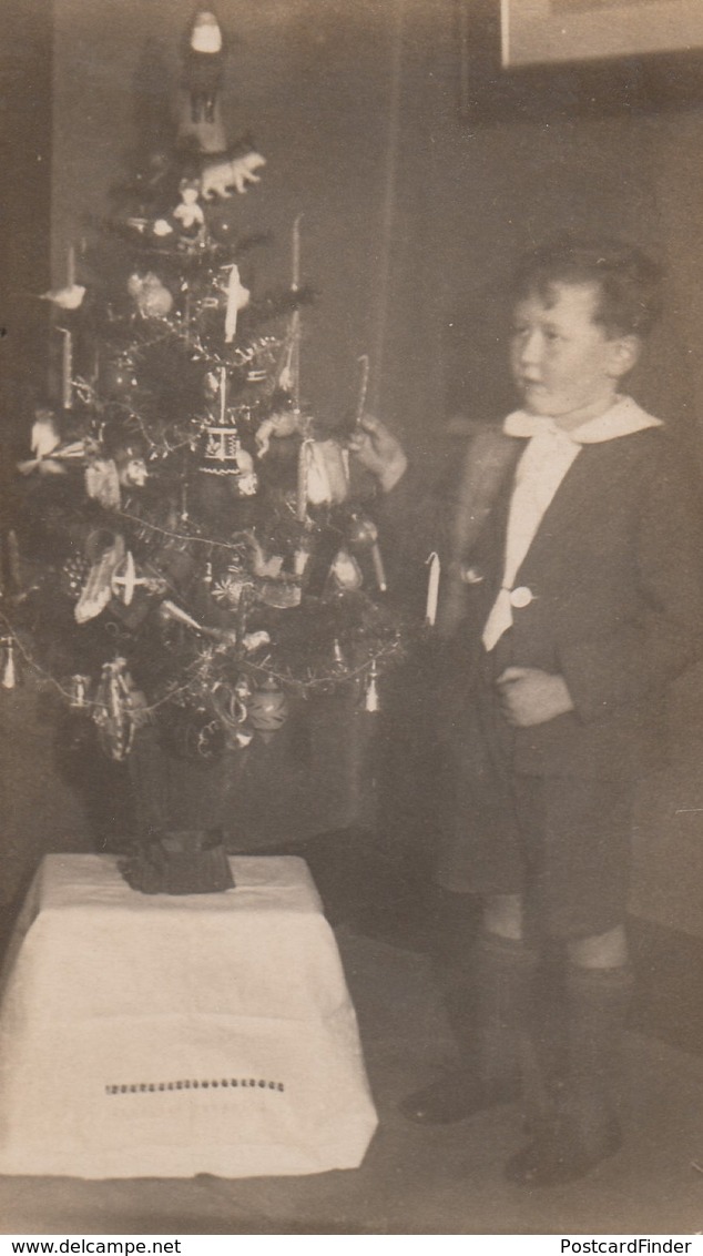 Posh Boy Making Building A Christmas Tree Antique Real Photo Postcard - Other & Unclassified