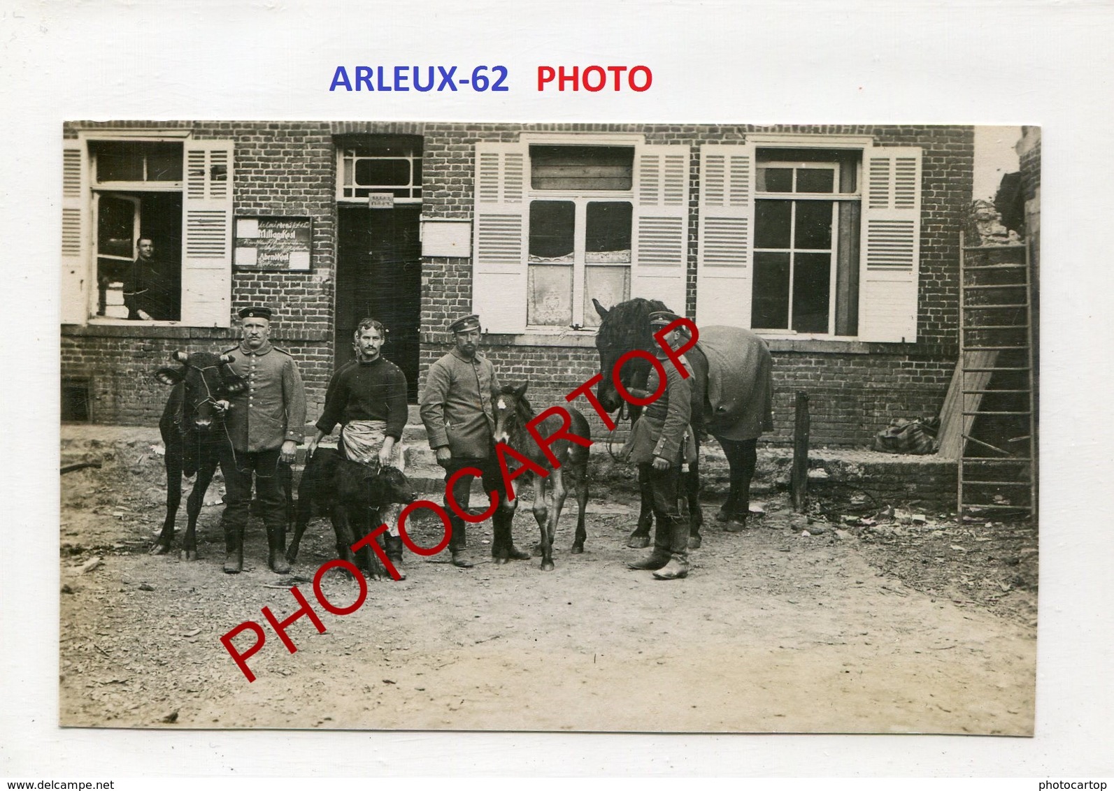 ARLEUX-Veau-Poulain-PHOTO Allemande-Guerre 14-18-1WK-France-62-Militaria- - Otros & Sin Clasificación