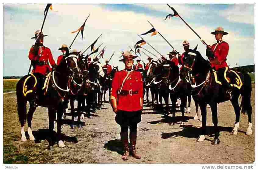 Animaux - Chevaux - Royal Canadian Mounted Police Musical Ride - Voir Scans Recto-Verso - Chevaux