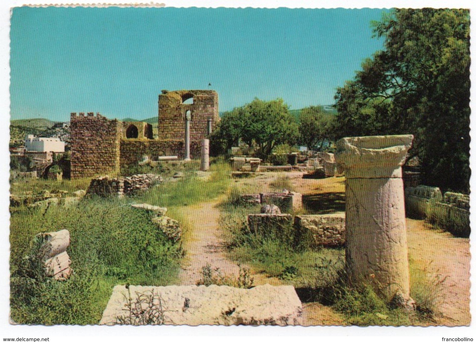 LIBAN/LEBANON - BYBLOS GENERAL VIEW OF THE GRECO-ROMAN RUINS - Libano