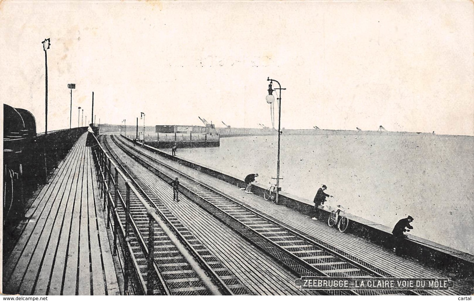 ZEEBRUGGE - La Claire Voie Du Môle - Zeebrugge